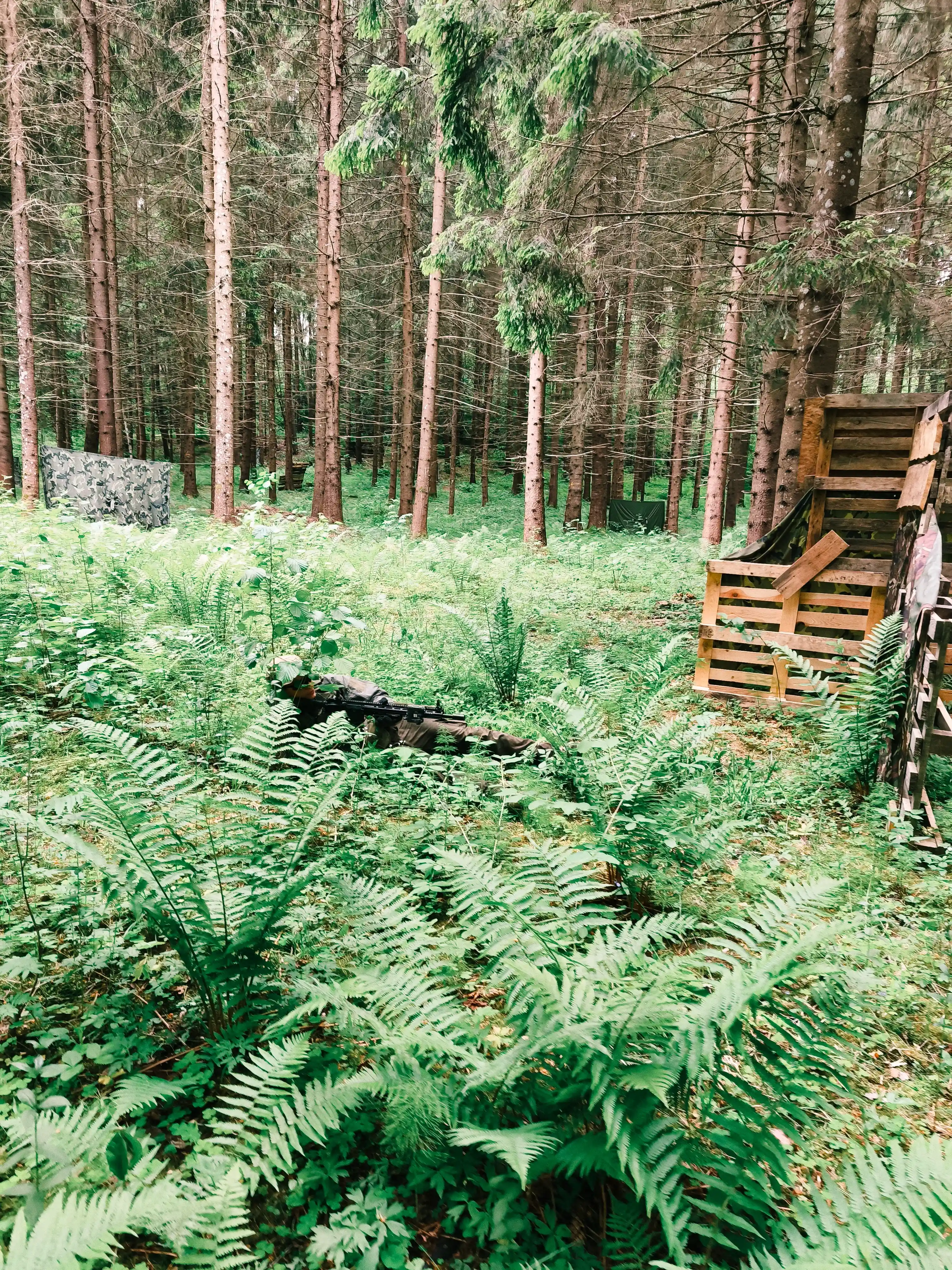 Airsoft 2
